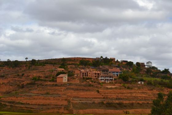 Madagascar RisaieSavana1